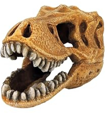 CLASSIC T-Rex Dinosaure Crâne Aquarium Ornement - Décoration Préhistorique Aquarium - 127x75x77mm