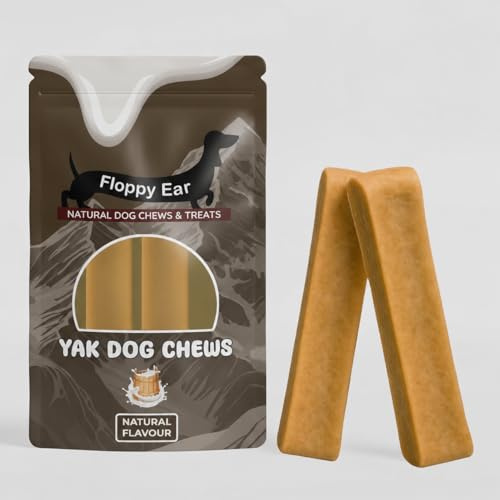 Floppy Ear Himalayan Yak Dog Chews - Yak Chews with Milk for Dogs Medium (pack of 2) - Protein & Calcium Rich Long Lasting Dental Sticks - Healthy Natural Snack