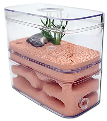 YKLL Ant Farm Highly Moisturizing Ant Nest Ant Farm Plaster Insect Box Pet Anthill Castle Natural Ecological Workshop Ant House 12 * 6 * 10cm Unique Gifts