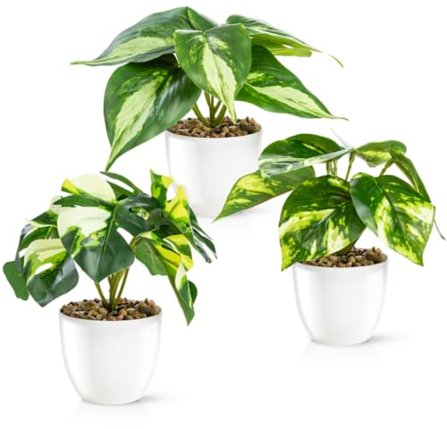PASCH® Set de 3 plantas artificiales como reales (18 cm) en maceta de cerámica de alto brillo | Plantas artificiales en maceta | Plantas artificiales en maceta | Flor artificial Planta Falsa