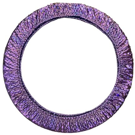 Colcolo Copertura per Cerchio di Ginnastica Ritmica Copertura Protettiva per Ginnastica Artistica 85 cm Elastica Facile da installare Protezione Resistente, Viola