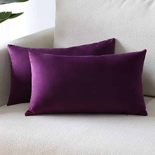 Sungeek 2er Set Samt Kissenbezüge, Dekorativ Zierkissenbezüge Weich Kissenbezug Dekokissen Sofakissen Couchkissen Deko Bezug Kissenhülle für Sofa Schlafzimmer Wohnzimmer (30x50 cm, Aubergine Lila)