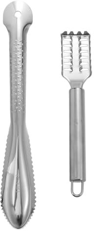 Healifty 2 Pezzi Squamatori per Acciaio Inossidabile Utensile Rimozione Squame e Leggero per Cucina e Pulizia