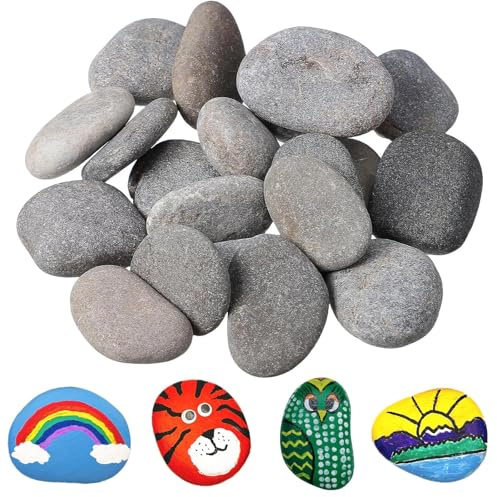 Touosy 24 Pezzi Sassi da Dipingere Creative Pebble Kit per Dipingere Bambini per Pittura Pietra Dipinta Creativa Decorazione Cortile Artigianato Creazioni Creative e Decorazioni Giardino