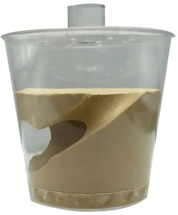 Ant Farm & Nid Nid De Château Fourmis, Culture Reine, Ferme en Plâtre Adaptée À 10 Ou Moins, Boîte d'alimentation Ferme Naturelle Formicarium