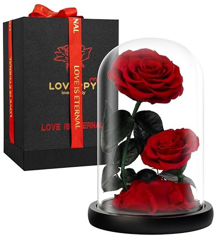 LOVAPPY Eternal Flower in a Glass Dome: Preserved Rose - The Perfect Infinity Forever Rose Gift for Her on Valentine's Day, Mother's Day, Birthday, Anniversary, Wedding, and Christmas (23 cm)
