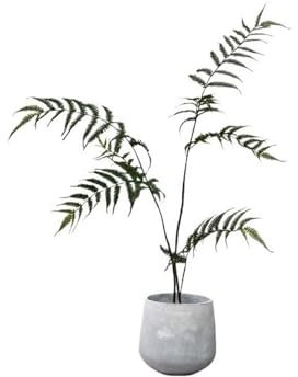Krukväxter Konstgjord ormbunke Bonsai Simulering grönska Inomhusdekoration Ornament Krukväxter med krukor Bonsai