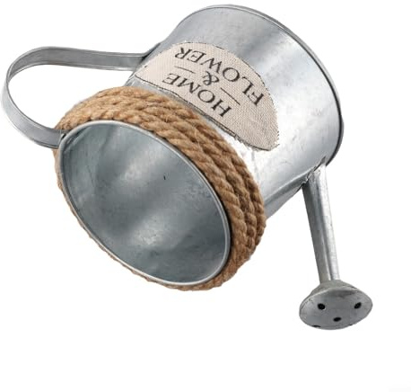 Yuanpgky Arrosoir rétro en fer pour décoration de jardin, pot de fleurs vintage en métal et vase, compact 9 cm x 8,5 cm, seau décoratif pour plantes, artificiel (affiches)