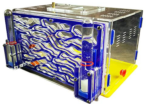 DIY Ant Granary Feeding Area Farm Acrylic Villa Pet Mania for House Ecological Nest Birthday Present Gift