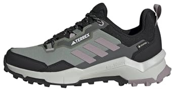 Adidas Women's Terrex AX4 Gore-Tex Hiking, Silver Green/Preloved Fig/Black, 9