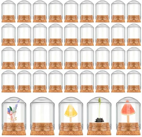 Barydat 50 Pcs Mini Cloche Glass Dome with Cork, Cloche Bell Jar Mini Glass Bottles with Base, Decorative Jars Display Case for Specimen Flower Storage Crafts Arts Party Favor Decor (8 ml)