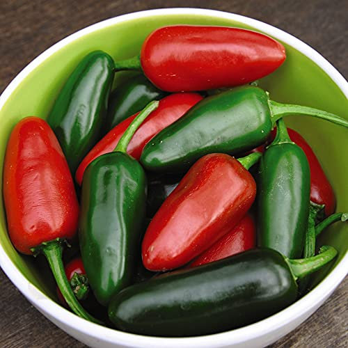Chilli Pepper Jalapeno M Garden Plant Half-Hardy Annual Flowering Garden Plants Easy to Grow Your Own 1x Seed Packet by Thompson and Morgan.