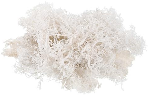 sourcing map 17,6 Unzen Moos Falsches Bastelmoos Künstliches Moos Natürliches konserviertes Moos für Bastelkunst, Garten, Terrassen-Dekoration (Weiß)