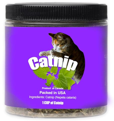DesertUSA, Catnip Blend - Non-Addictive Catnip Treats for Enhanced Playfulness. North American Crafted, 100% Natural. Ideal for Complementing Catnip Toys, Catnip Spray, and Cat Accessories (1 Cup)