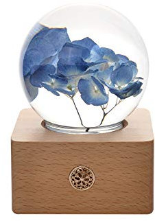 Dr. Pets Hortensia bleu Fleurs éternelles