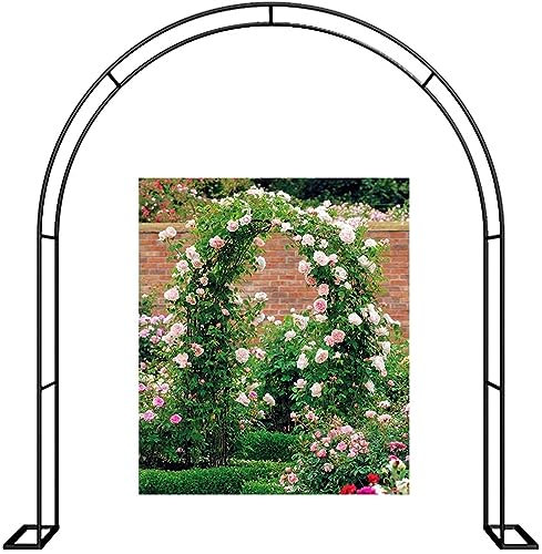 Arche de jardin en métal pour plantes grimpantes - Tonnelle de rose robuste avec bases - Grandes arches de mariage pour diverses plantes d'extérieur - 300 x 220 cm (l x H)