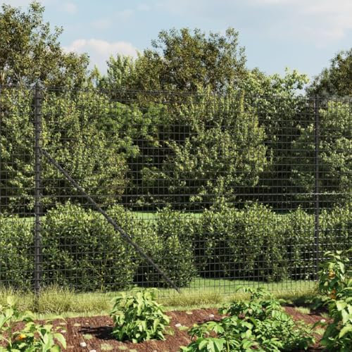 Juroupi Clôture en Treillis métallique avec Bride Anthracite 2,2x10 m Barriere Jardin Exterieur,Barriere Jardin,Portillon Grillage