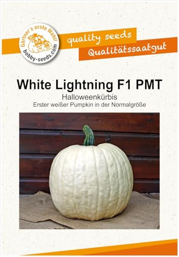 Kürbissamen White Lightning F1 Portion