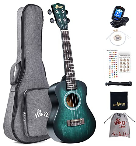 Winzz Ukulele Concerto, 23 Pollici, Kit per Principianti Adulti e Bambini 5+ Anni, Unico Blu-verde, Legno con 8 Accessori, Inclusi Accordatore, Custodia, Tracolla, Corde