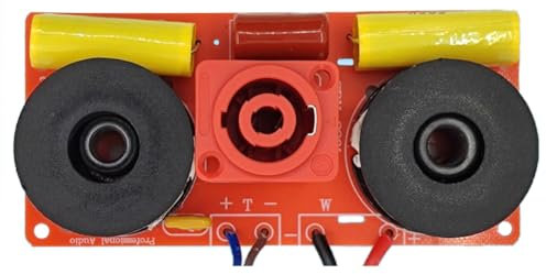 Loufy 2-Wege-Frequenzweiche mit 300 W Frequenzweichen-Trennwand für DIY Hi-Fi-Sound