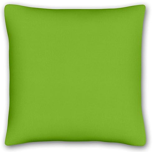 KiGATEX 2er Pack Kissen-Bezug für Deko-Kissen - Kopfkissen-Bezug aus 100% Baumwolle - Einfarbige Kissenhülle mit Reißverschluss (40 x 40 cm, apfelgrün)