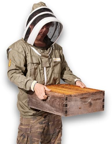 Sting Stopper Performance Beekeeping Jacket - Ultra Light Weight, UV Protection and Ventilated, Quick on and Off Design with Velcro and Elastic Cuffs for Beekeepers - Medium, Olive Green