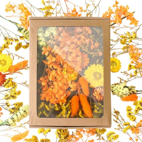 Onperpoe DIY Trockenblumen Set Getrocknete Blumen Trockenblumen Zum Basteln Mini Trockenblumen Bunt Natürliche Dried Flowers für DIY Pressed Flowers Handgemachte Heimdekoration Scrapbook Zubehör