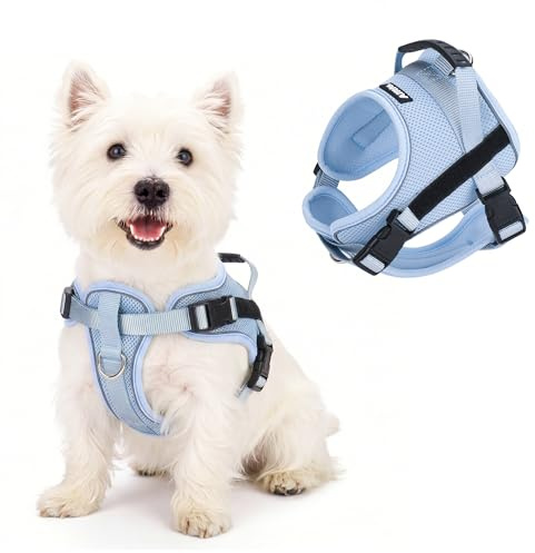 AIITLE Reflekterande hundsele med handtag, mjuk, bekväm, för alla väder, nättyg, andas, justerbar, valpsele för små, medelstora hundar (blå, XS)