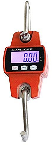 Dynamomètre professionnel numérique 300KG/100g avec affichage LCD