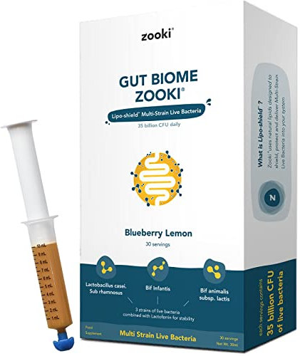 Zooki® Gut Biome | Advanced Multi Strain Probiotics | Gut Health, Digestive System - (Blueberry Lemon Flavour, 30 Servings, Pack of 1)