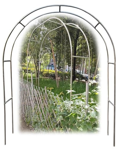 Arche de jardin en acier inoxydable - Grande tonnelle d'extérieur pour roses grimpantes et fruits - Solide et résistante aux intempéries - Pour l'intérieur et l'extérieur - Dimensions : 2,4 x 2,4 m