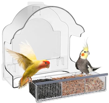Mangeoire automatique pour oiseaux - Bol amovible pour pinsons - Distributeur automatique de nourriture pour colibri acrylique résistant aux intempéries - Pour observer les animaux sauvages dans le