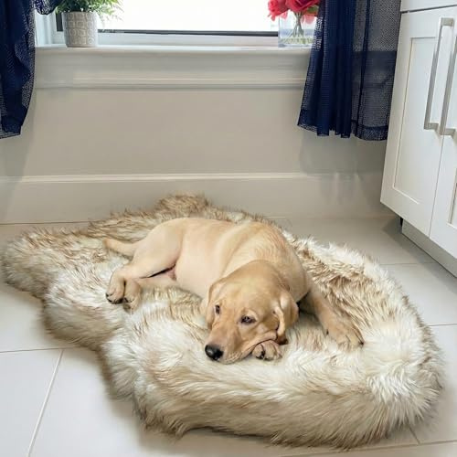 IHAPPYDOG Luxury Faux Fur Orthopedic Dog Bed, Memory Foam Dog Bed​ for​ Small, Medium, Large and XL Pets, Fluffy Pet Rug with Waterproof ​and ​Washable Cover (White w/Brown Tips, 40x25)