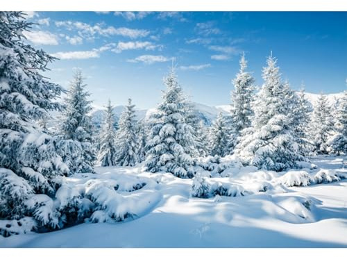YongFoto 15 x 10 fot fotografi bakgrund julgran lantlig snötäckt scen god jul foto bakgrund bakgrund fotosession fest vuxna barn bröllop porträtt foto studio rekvisita