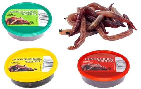 Dendrobena Regenwurm Rotwurm Würmer Mix, ca. 70 Würmer, klein ca. 30 Stück, mittel ca. 25 Stück, groß ca. 15 Stück, Lebendfutter, Angelköder, Reptilienfutter