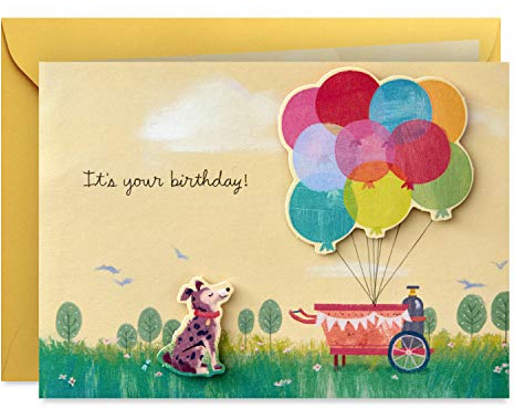Hallmark Paper Wonder Pop Up Birthday Card (Get Carried Away)