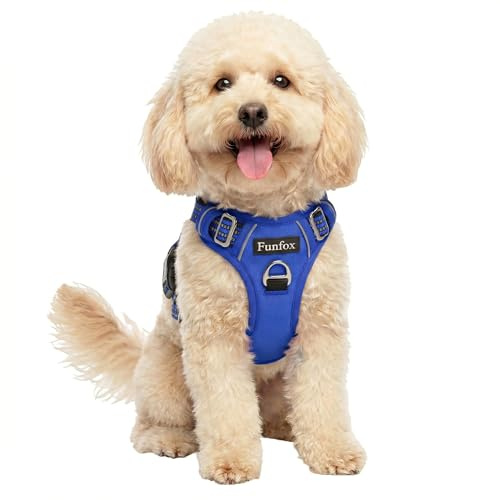 Funfox Dog Harness Small, No Pull Puppy Harness with Vertical Handle, 2 Leash Clips, Reflective Strips Night Walking, Anti Pull Adjustable Padded Pet Vest Size for Small Breed, Blue S