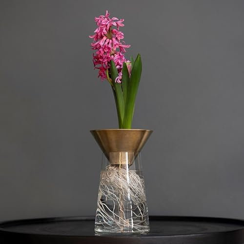 Crocus Collection 18cm Small Glass Vase for Flowers With Brass Funnel for Hyacinth Bulbs Table Decoration