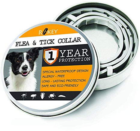 Makeup Revolution Brow Pomade Mit pinsel - Ash Brown, 3 g