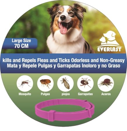 Tempotech ® Collier antiparasitaire Chien - 8 Mois de Protection - Contre Les puces, tiques, moustiques, acariens et poux - Collier Vermifuge (1 unité Rose)
