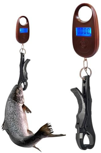 Digital fiskvåg,Digital fiskvåg Liten bärbar handhållen