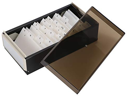 OEBUAFI Scatola Organizer Professionale per Biglietti da Visita con Design Espandibile, Coperchio in Plastica Trasparente per un Accesso Rapido, Porta Biglietti da Visita per 600 Carte, Impiegato