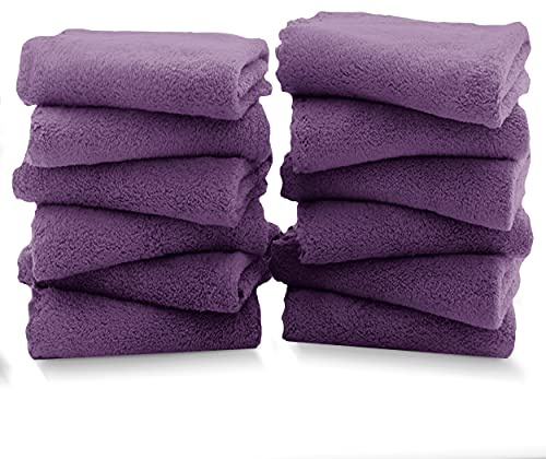 TENSTARS 12 Pack Premium Washcloths Set - Quick Drying- Soft Microfiber Coral Velvet Highly Absorbent Wash Clothes - Multipurpose Use as Bath, Spa, Facial, Fingertip Towel (Grape Purple)