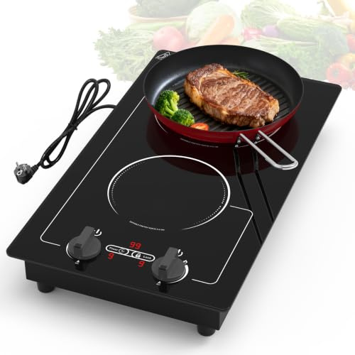 VBGK plaque induction 2 feux,220V 3000W avec écran tactile LED, 9 niveaux de puissance, sécurité enfant et minuterie, protection contre la surchauffe, bouton rotatif et commande tactile