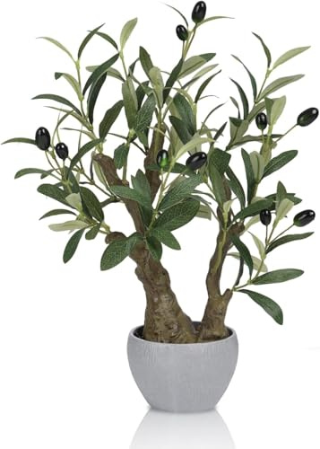 HPNIUB Olive Tree Bonsai Potted Plant Japanese Style Stone Pot Decor