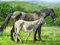 1000 Piece Jigsaw Puzzle Horse & Donkey In Autumn Set (Stable Companions) By Gill Erksine-Hill Autumn