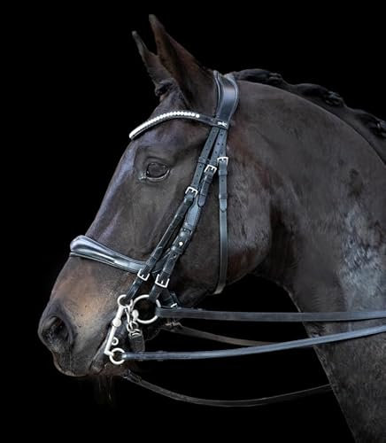 Schockemöhle Sports Kandarenzaum, Kandare EQUITUS Gamma Größe Vollblut