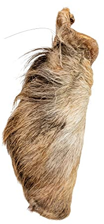 Doodle's Deli Air Dried Beef Ears With Hair 1kg | 100% Natural Treat, Low Fat, High Protein, Supports Dental Health