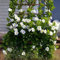 Semi di Mandevilla Sanderi 100 Pz – Rampicante Sempreverde con Fiori Profumati e Colorati per Giardini, Terrazze e Vasi (Bianco)