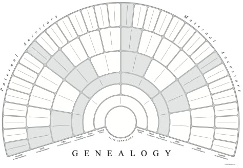 TreeSeek Family Tree Chart Blank Genealogy Fan Chart Poster for Ancestry and Family History Research. 7 Generations to Fill in Perfect Genealogy Gift 10 Pack Beautiful 17x22 in Worksheets